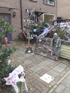 902724 Gezicht op de tuin van de woning Nyeveltstraat 14 te De Meern (gemeente Utrecht), die versierd is ter ...